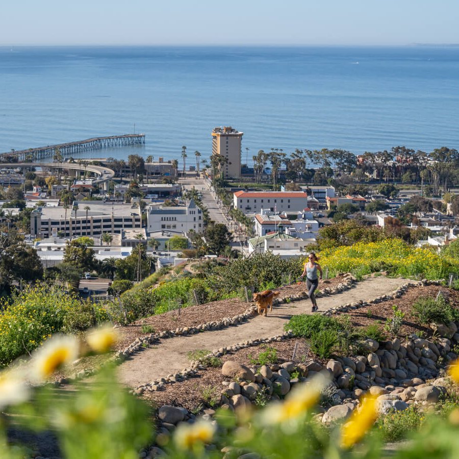 Visiting the Ventura Botanical Gardens