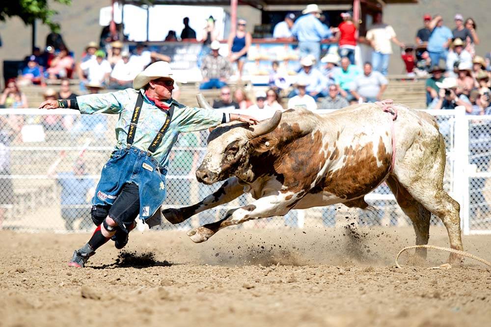 Guide to the Ventura County Fair 2025: Here’s What You Need to Know