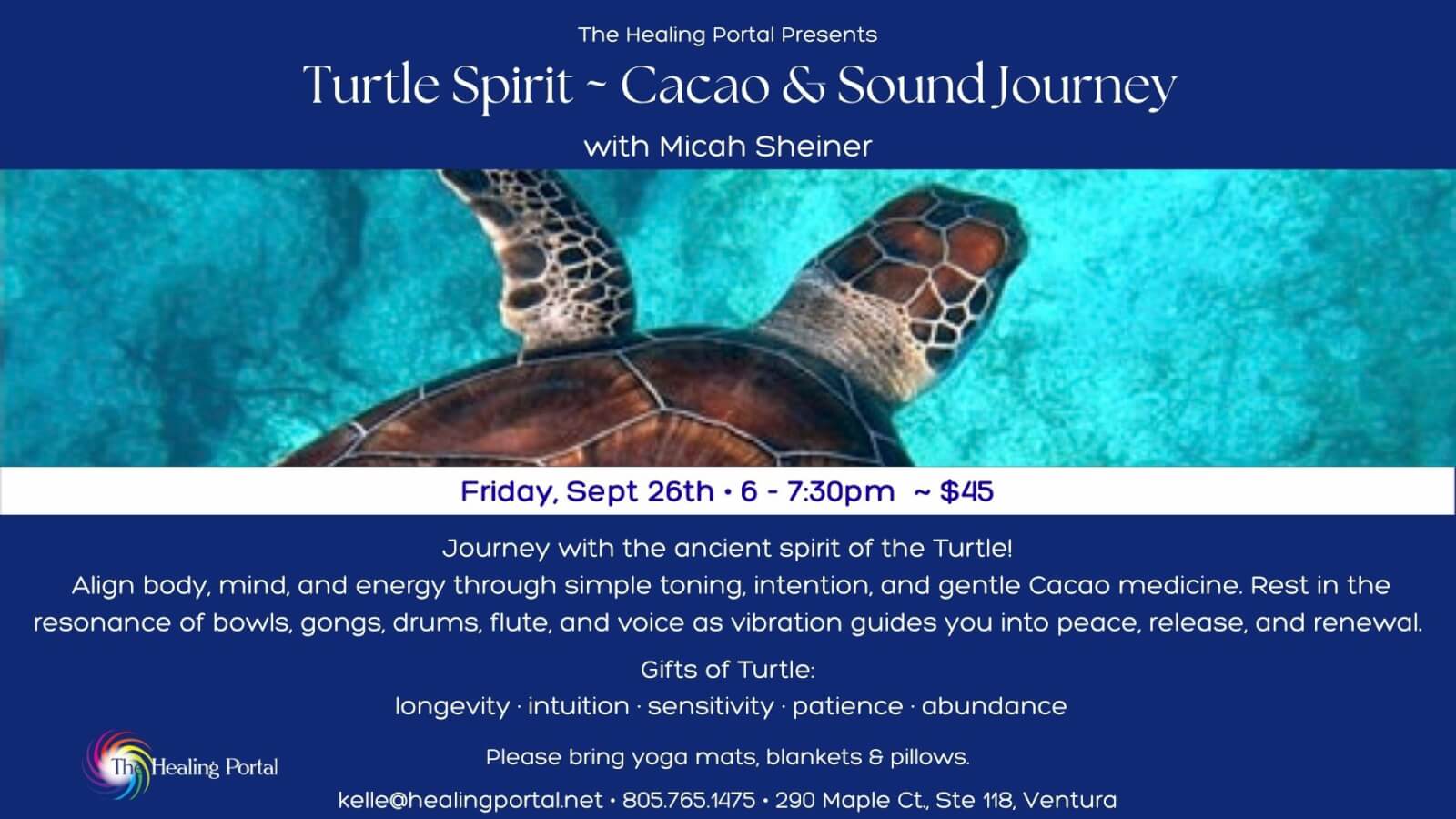 the healing portal presents: Turtle Cacao & Sound Journey with Micah Sheiner