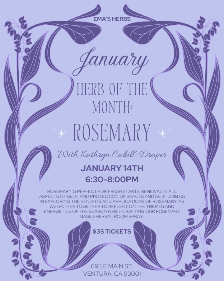 January Herb of the Month: Rosemary with Kathryn Cahill-Draper