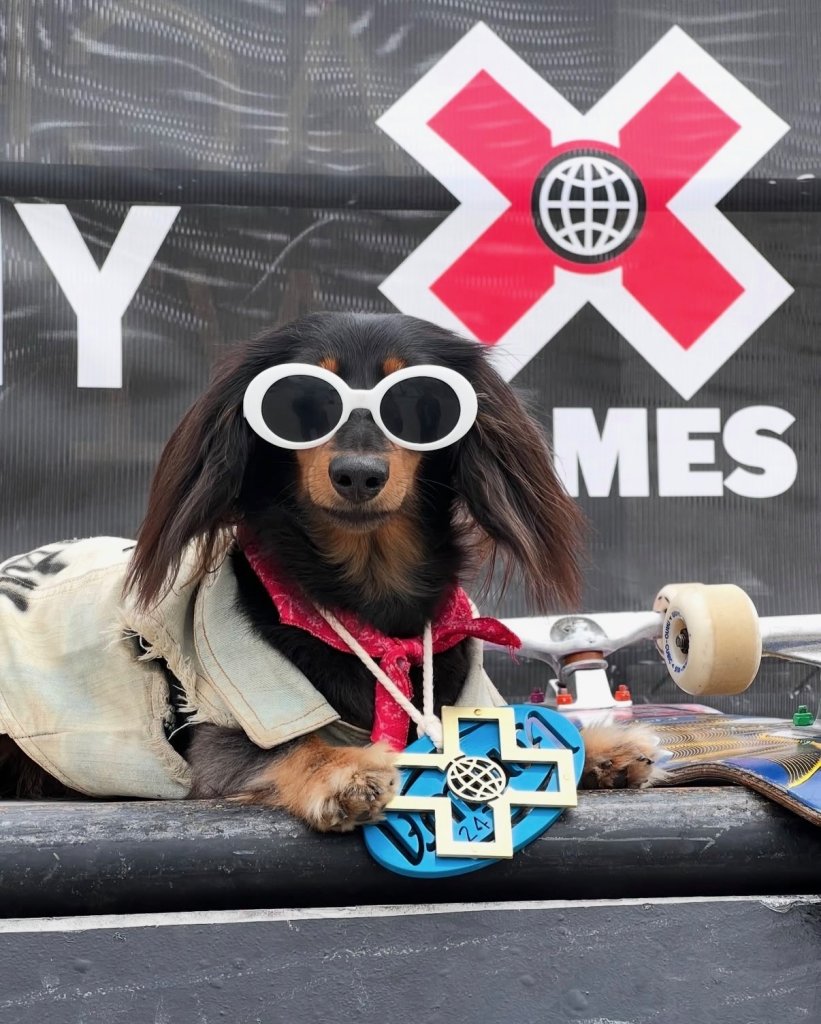 Short Dawgs in da House