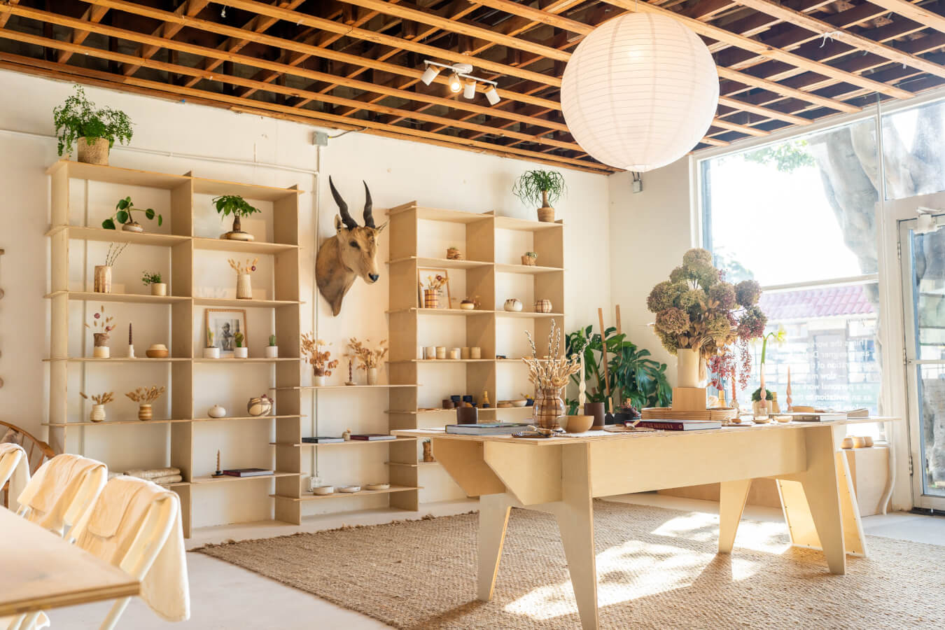 A light and airy room with shelves filled with ceramics in DeNai in Ventura, California