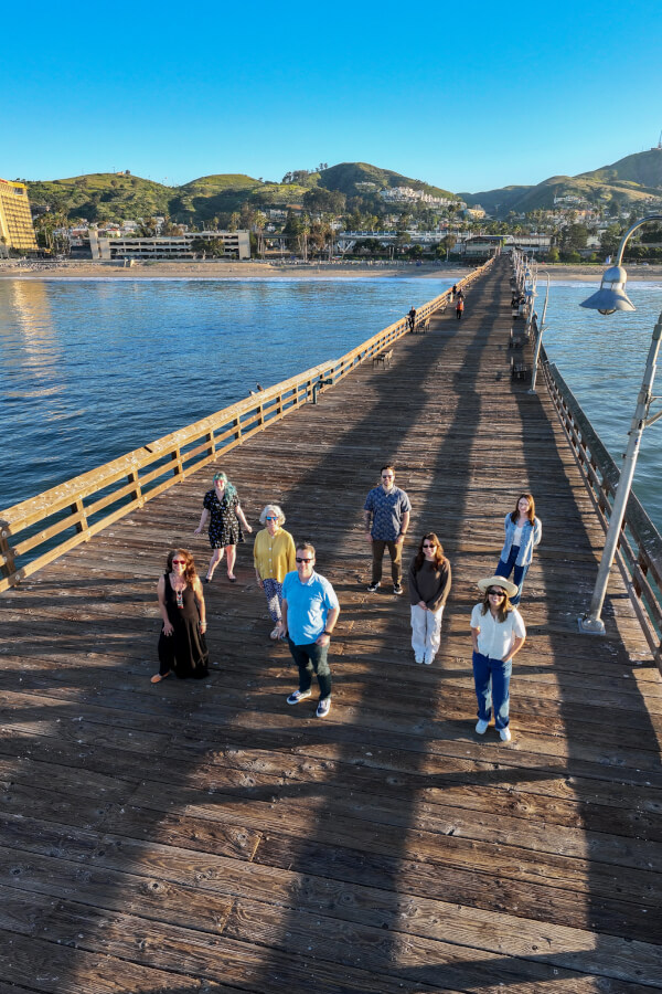 Meet the Team Meet the Team