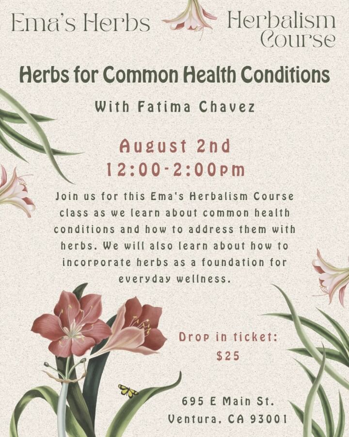 Herbs for Common Health Conditions with Fatima Chavez