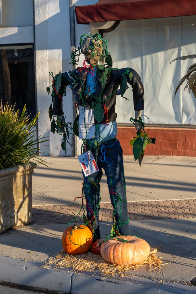 Your Guide to Downtown Ventura Harvest Days 2026 Downtown Harvest Days scarecrow stroll