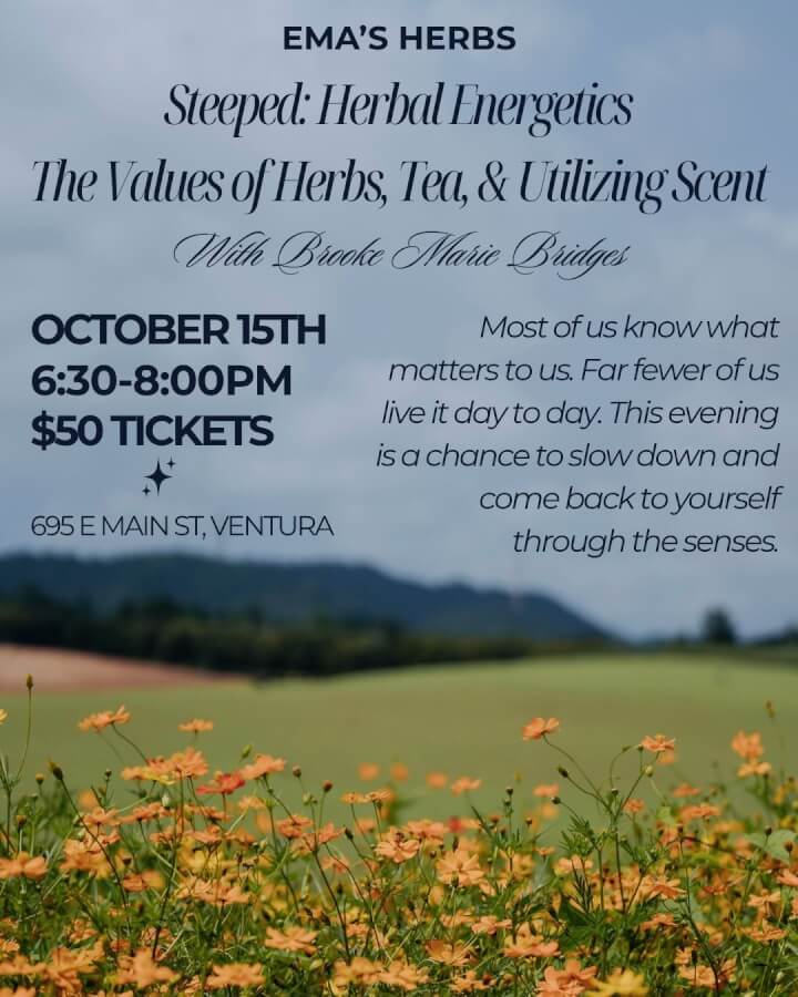 Steeped: Herbal Energetics: The Values of Herbs, Tea, & Utilizing Scent with Brooke Marie Bridges